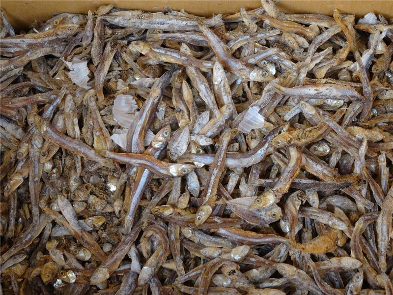 小魚干