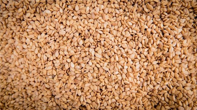 白芝麻(生)