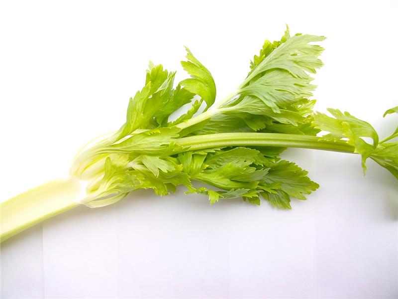 芹菜