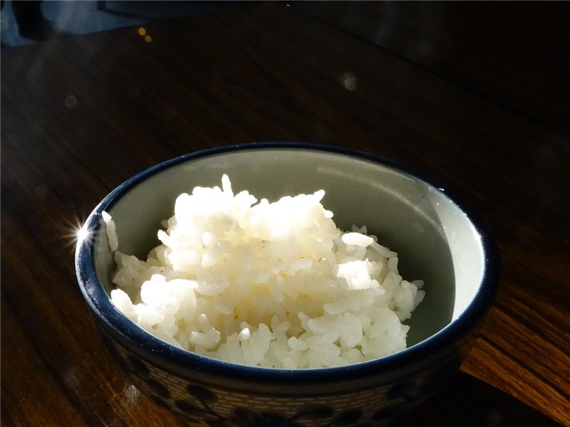 白飯